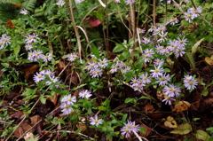 大高緑地公園にて