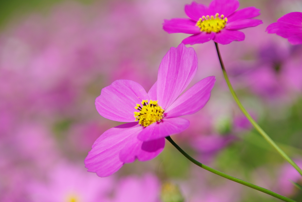綺麗に撮ってね＾＾