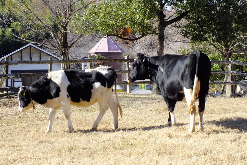名古屋市農業センターにて　