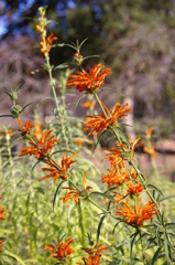 名古屋市農業センターにて