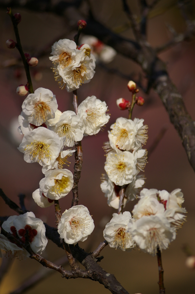 大高緑地公園にて