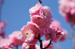 大高緑地公園にて　