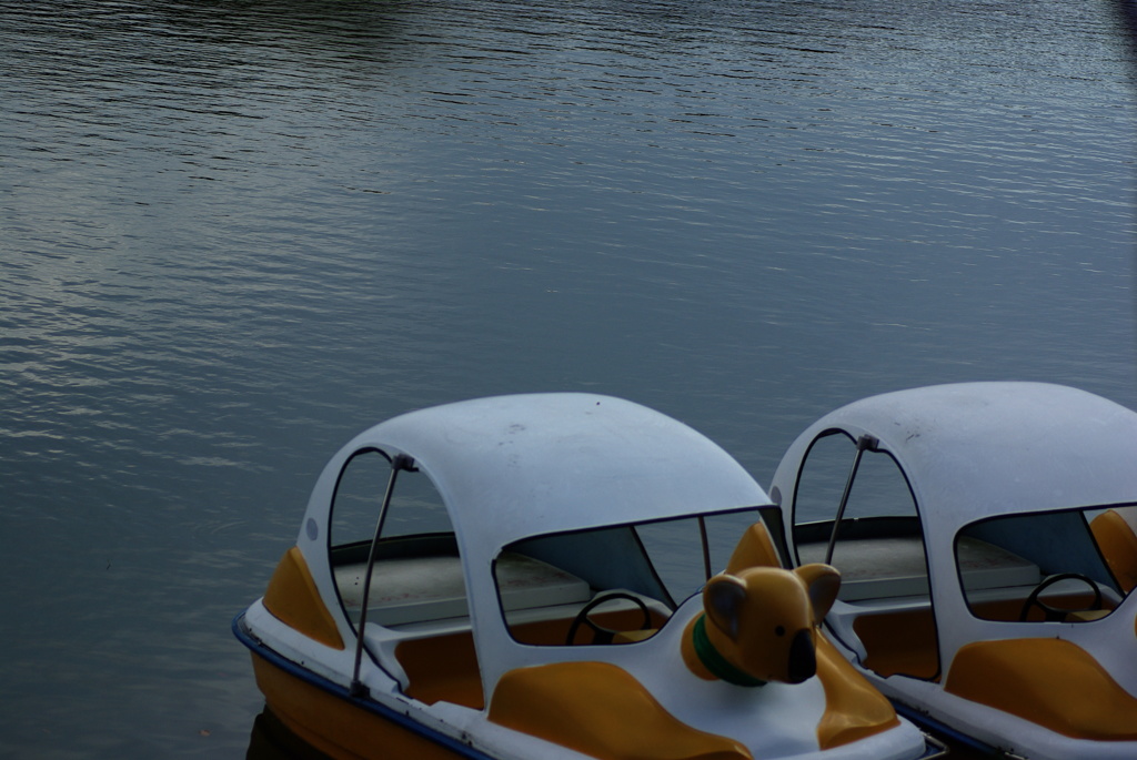 コアラも寂しそう^^