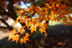 名古屋市農業センターにて