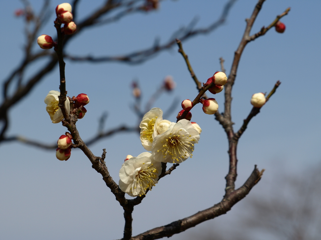 大高緑地公園にて