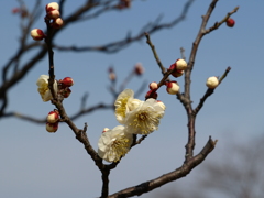 大高緑地公園にて