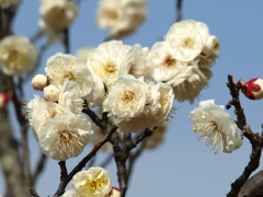 大高緑地公園にて