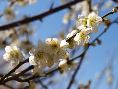大高緑地公園にて　