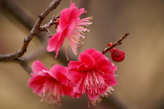 大高緑地公園にて　