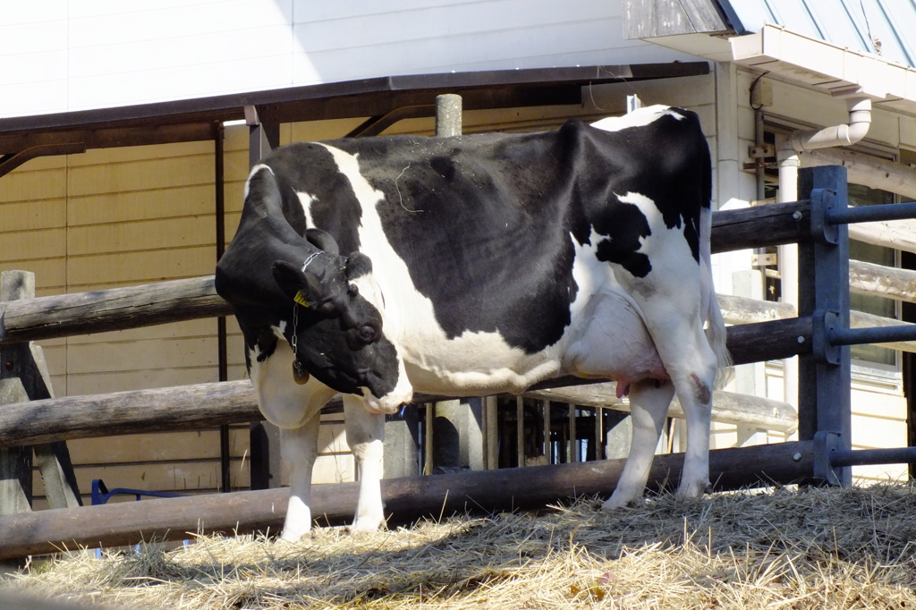 名古屋市農業センターにて　