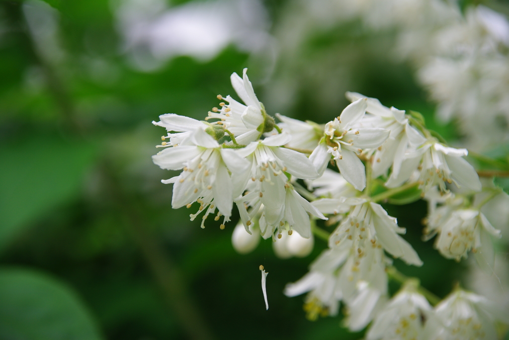 名古屋市農業センターにて　