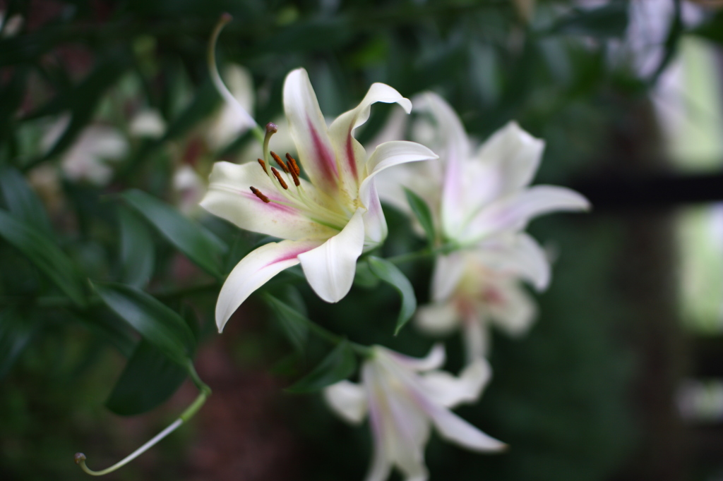 名古屋市農業センターにて　