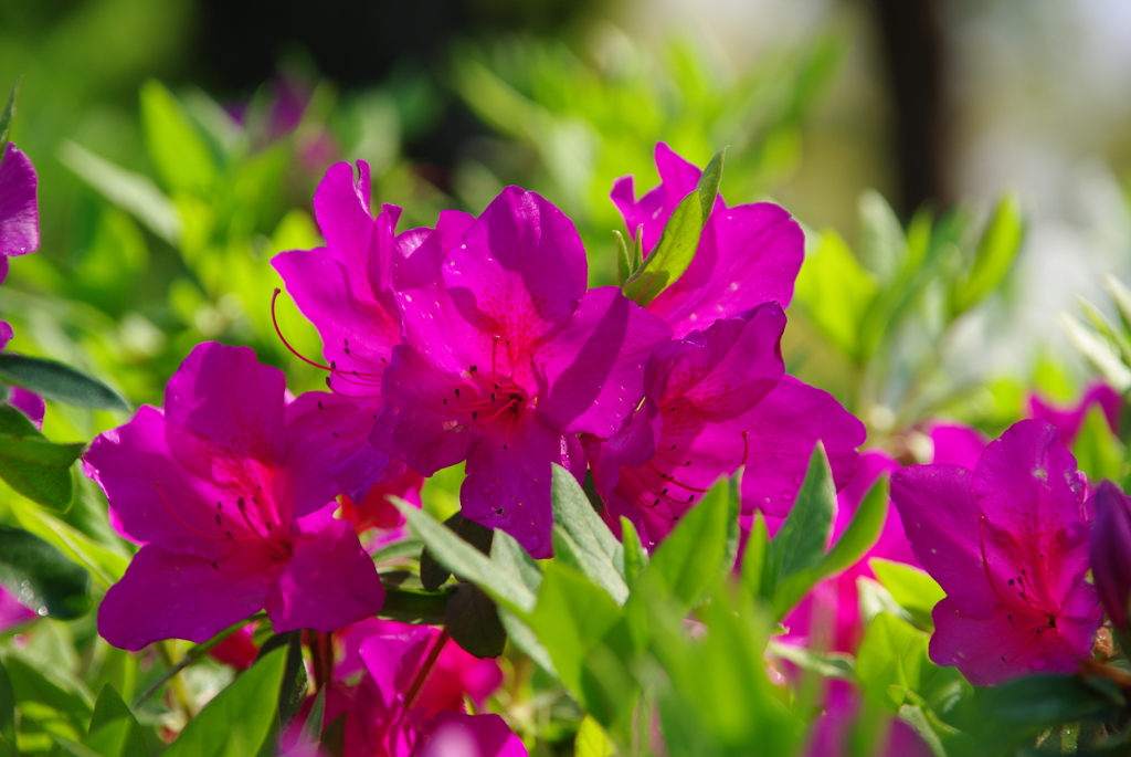 名古屋市農業センターにて　