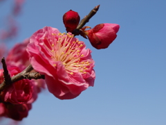 大高緑地公園にて
