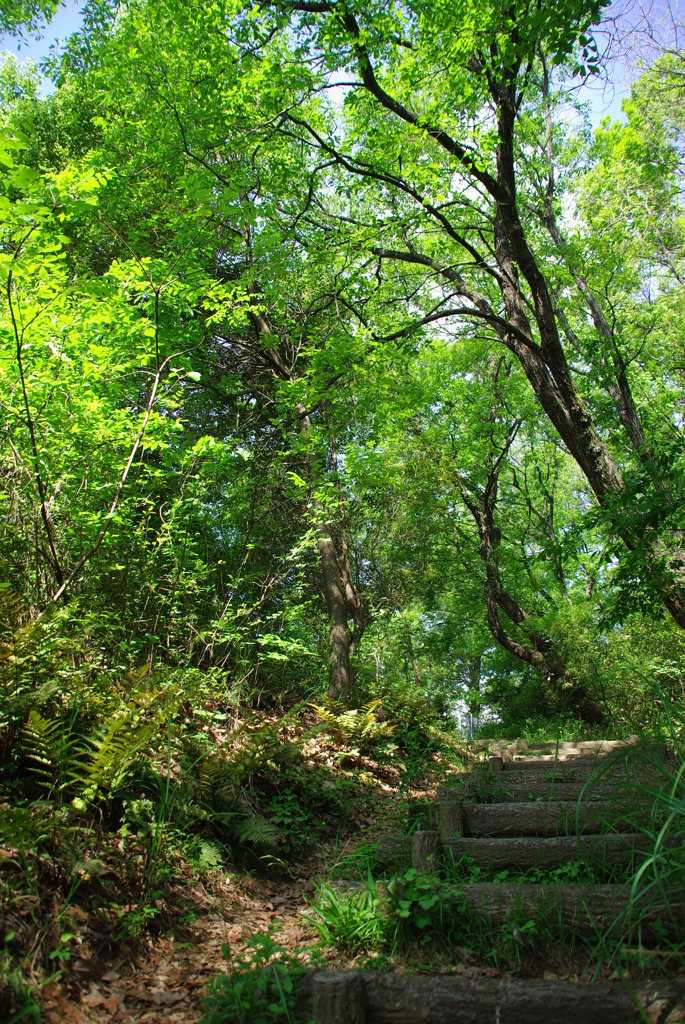 木陰が嬉しい季節になりました^^