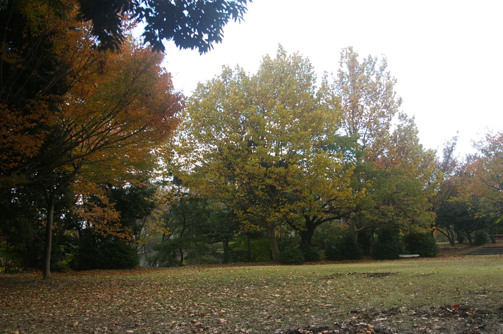 侘しい空きです^^