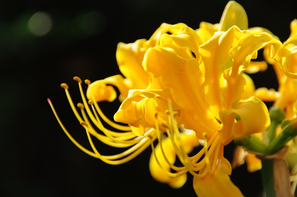 名古屋市農業センターにて　