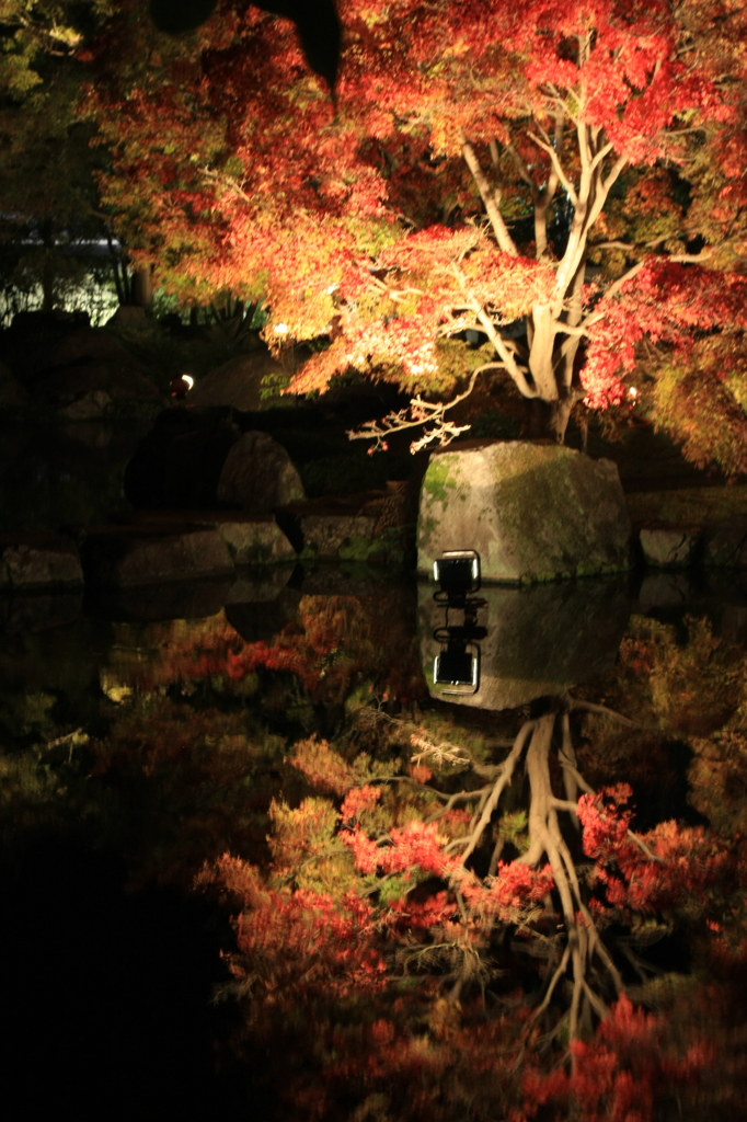 好古園紅葉会にて　6