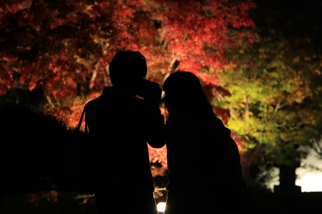 好古園紅葉会にて　5