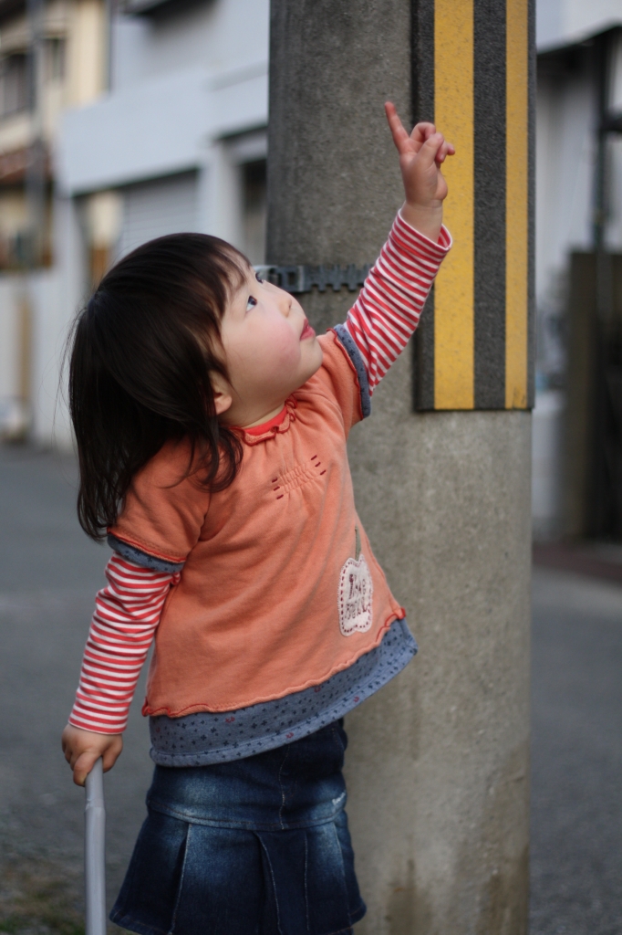 EOS KISS X2+EF50F1.8Ⅱ