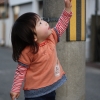 EOS KISS X2+EF50F1.8Ⅱ