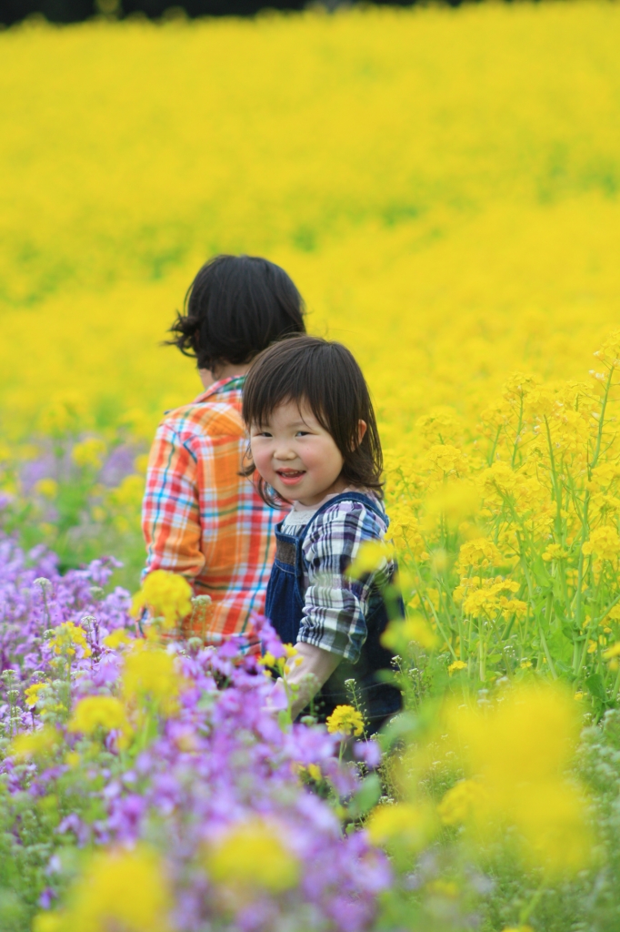 花さじき3