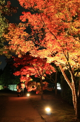好古園