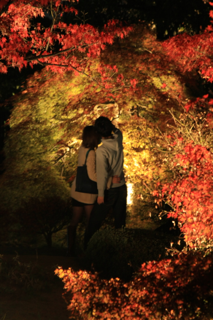 好古園紅葉会にて　3