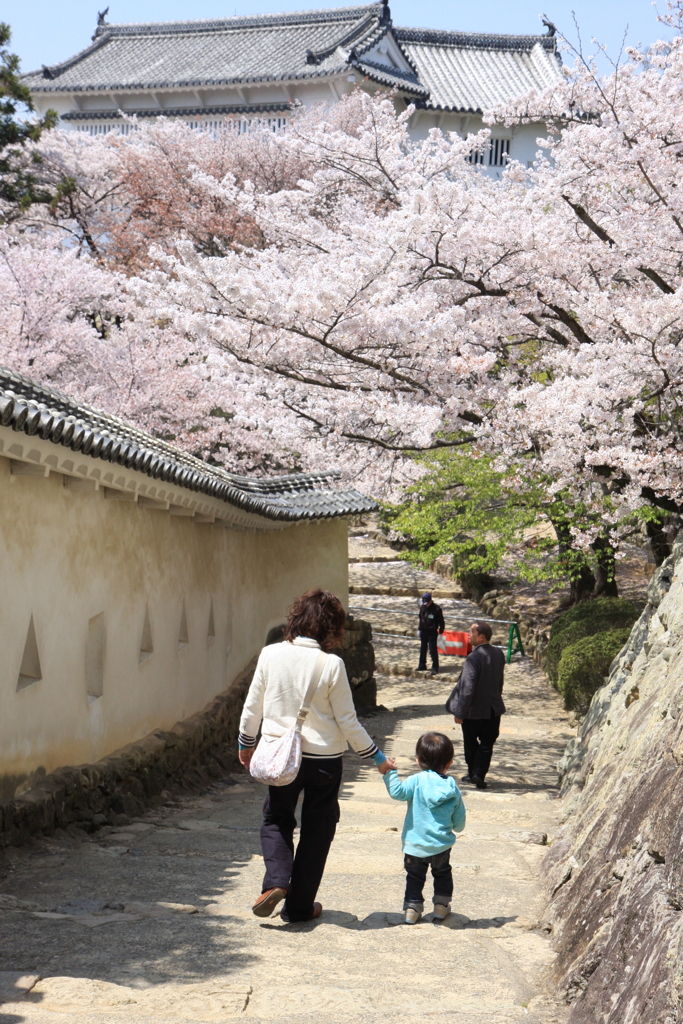 姫路城2011