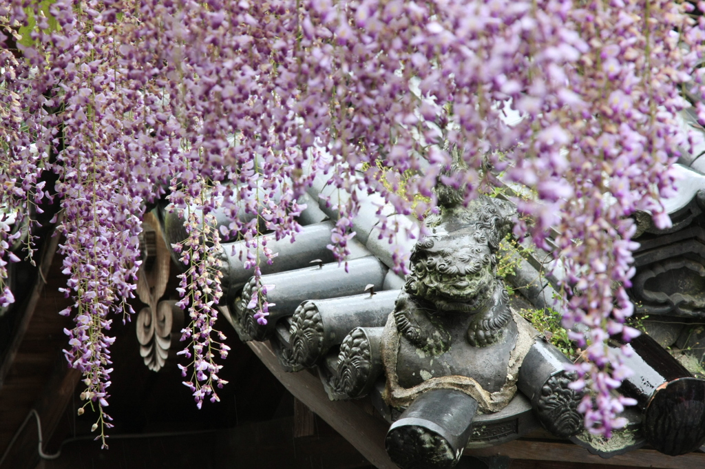 大歳神社