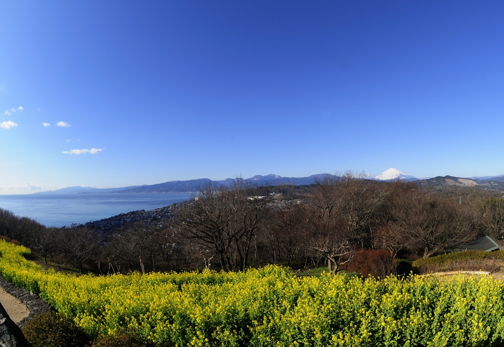 吾妻山公園