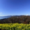 吾妻山公園