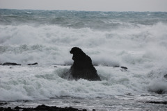 ゴジラ荒海へ