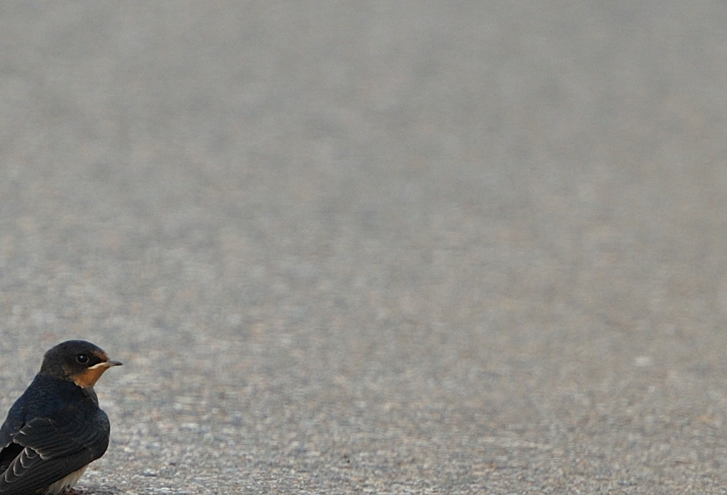 ちょっと一服～