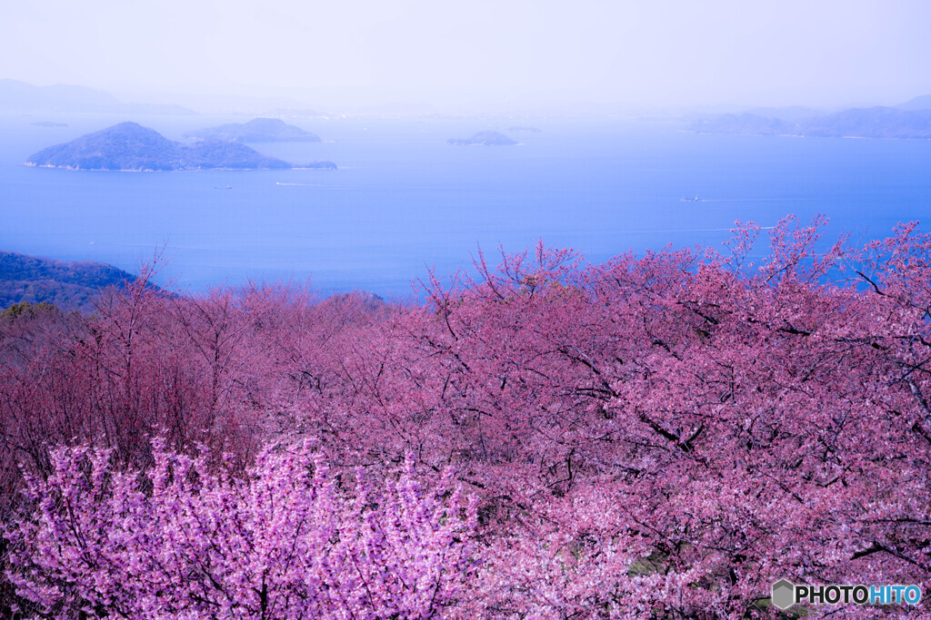 紫雲出山