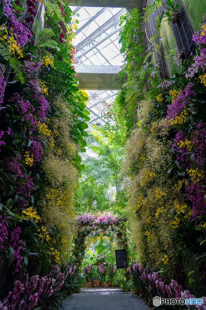 牧野植物園