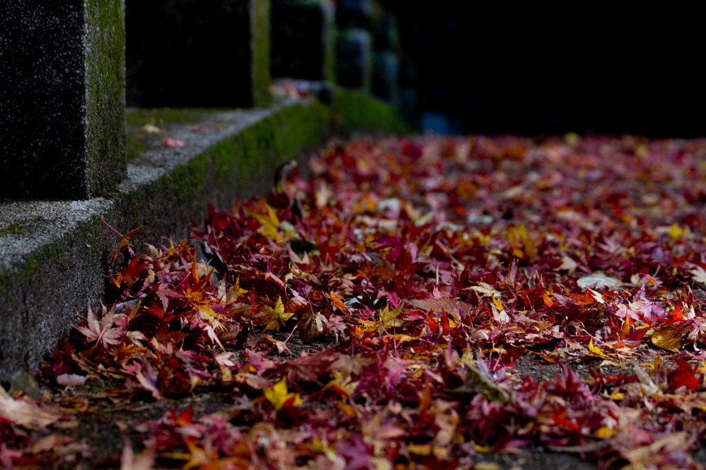 紅葉橋