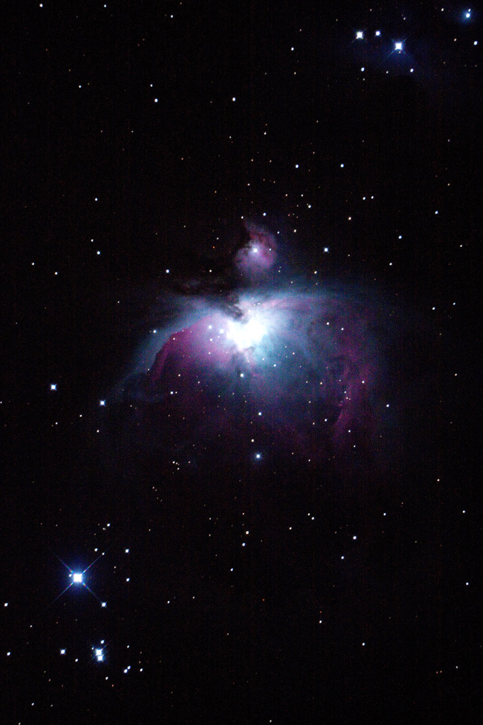 オリオン大星雲（20cm直焦点）