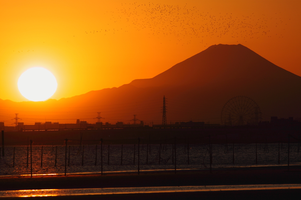 干潟の夕焼け