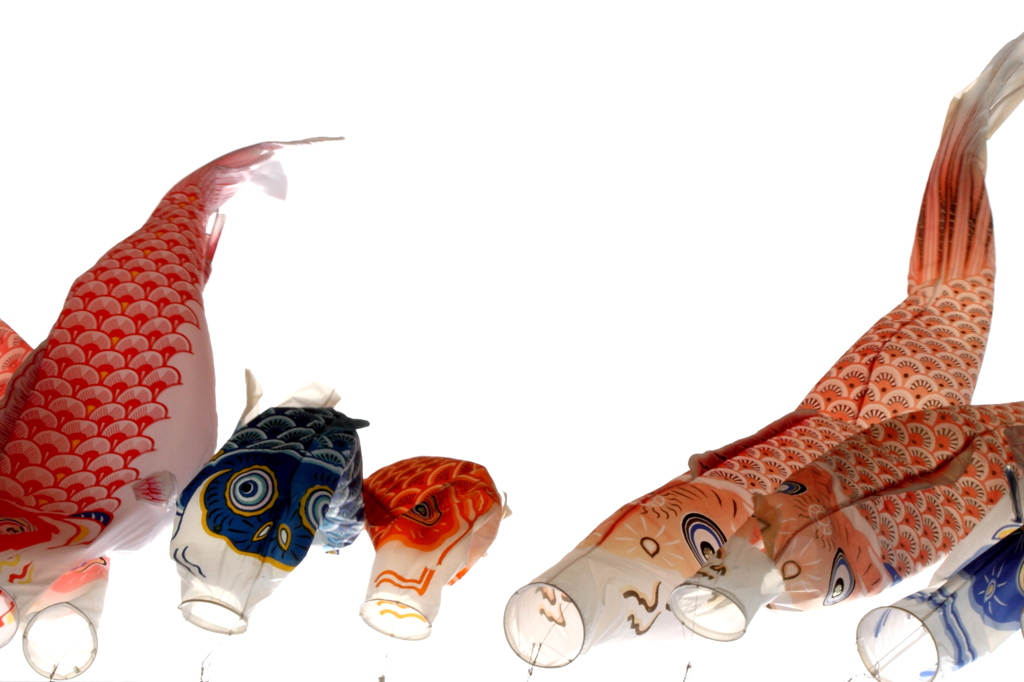 天を泳ぐ