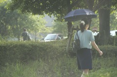 朝、暑さ、光