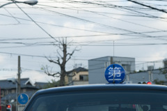 青丸