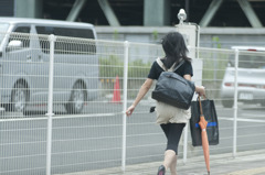 風とオレンジ