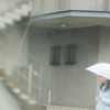 淡い水色