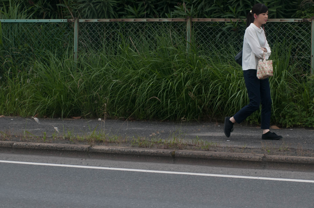朝に向かう