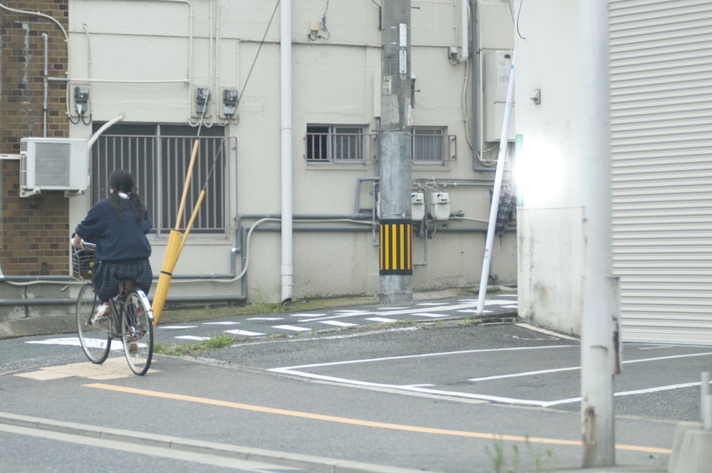 朝に向かう