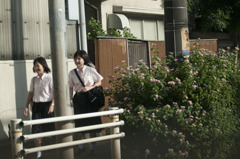 朝に向かう