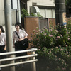 朝に向かう