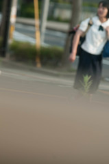 待ち合わせて通学