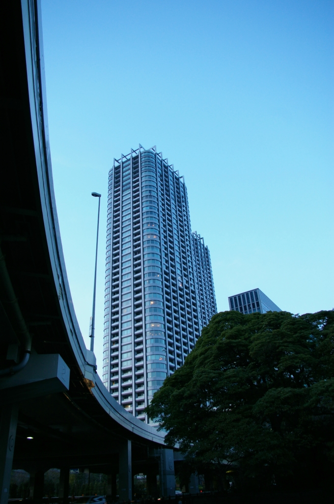 首都高とビル